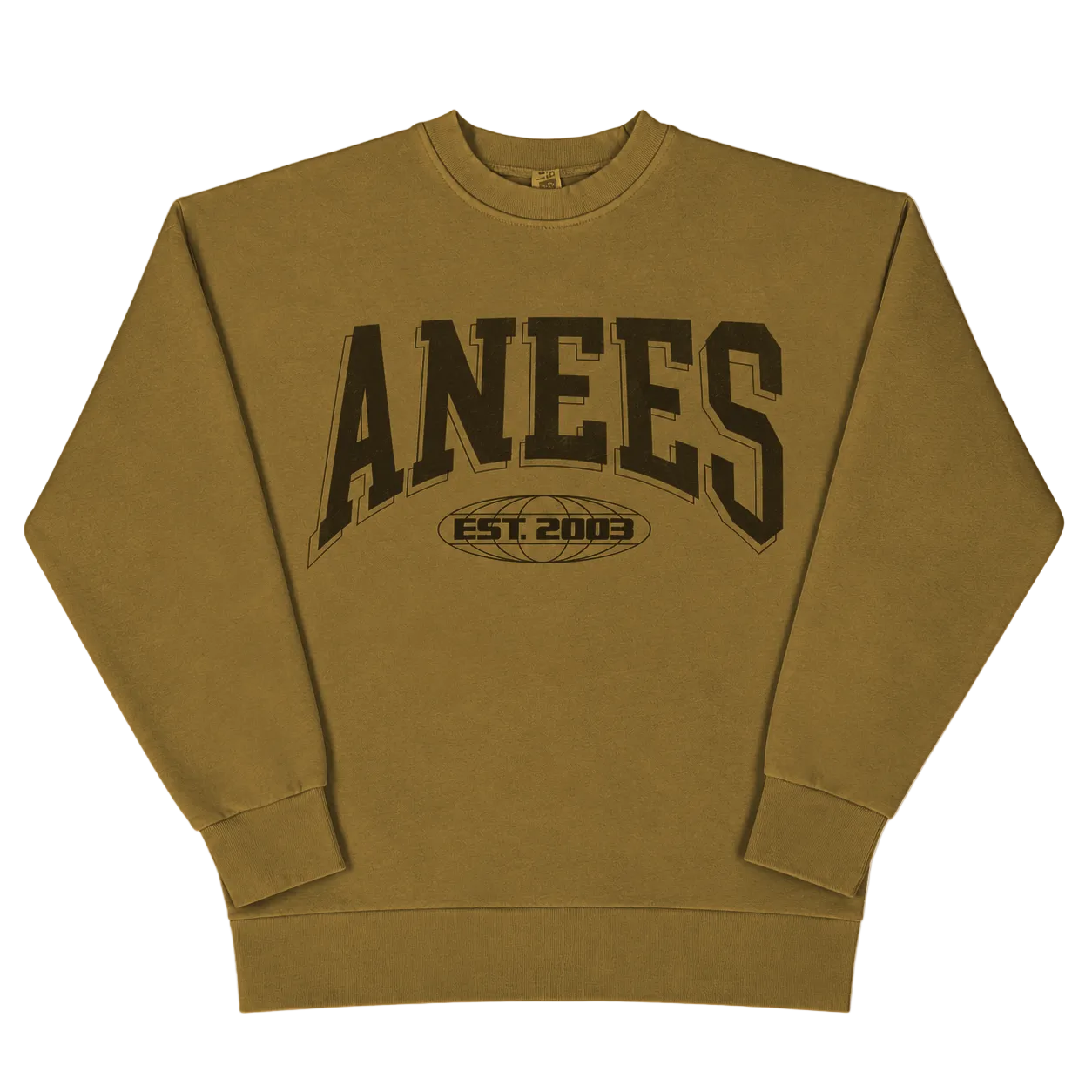 2026 Anees Tour - Logo Tour Sweatshirt