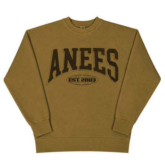 2026 Anees Tour - Logo Tour Sweatshirt