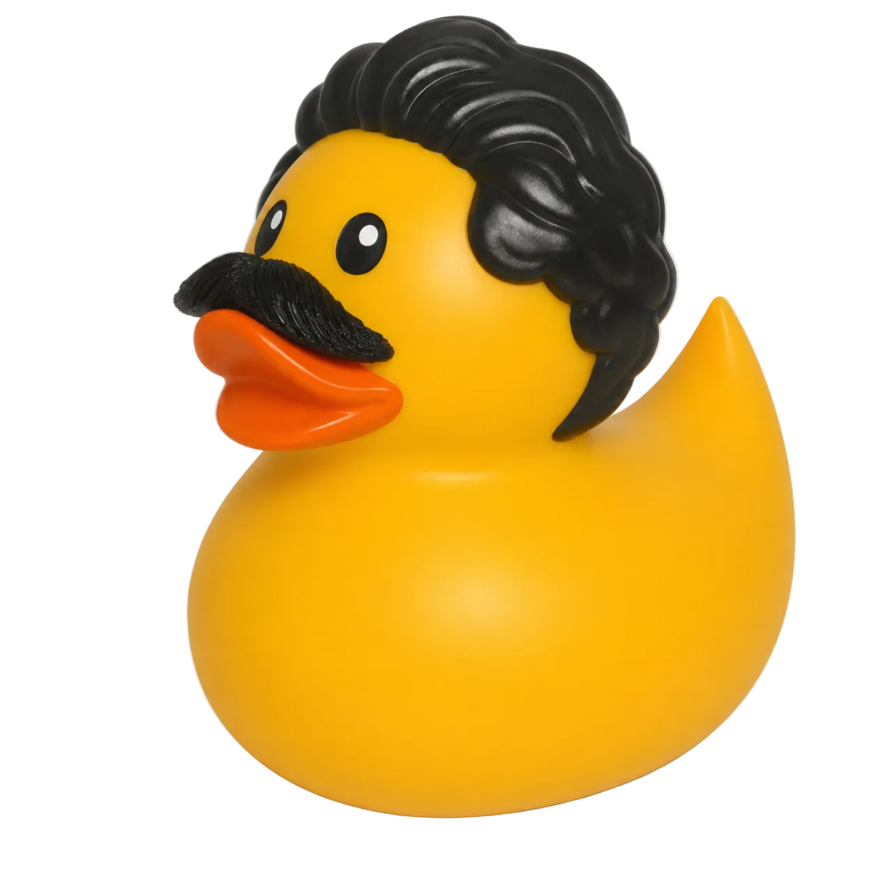 2026 Anees Tour - Anees Rubber Ducky