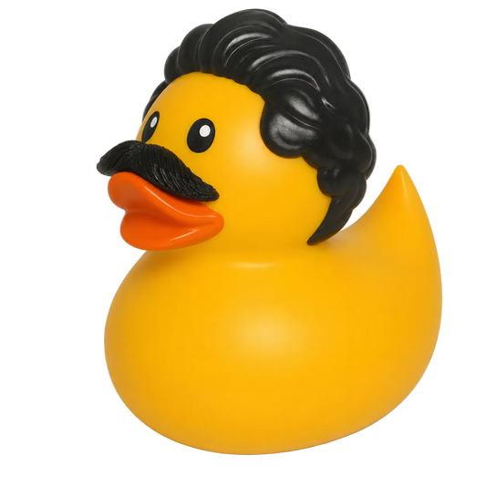 2026 Anees Tour - Anees Rubber Ducky
